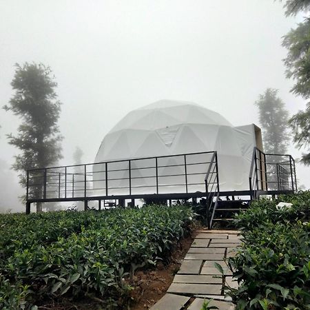 Vythiri Tea Valley I Best Hotel In Wayanad L Hotels In Vythiri Wayanad Exterior foto