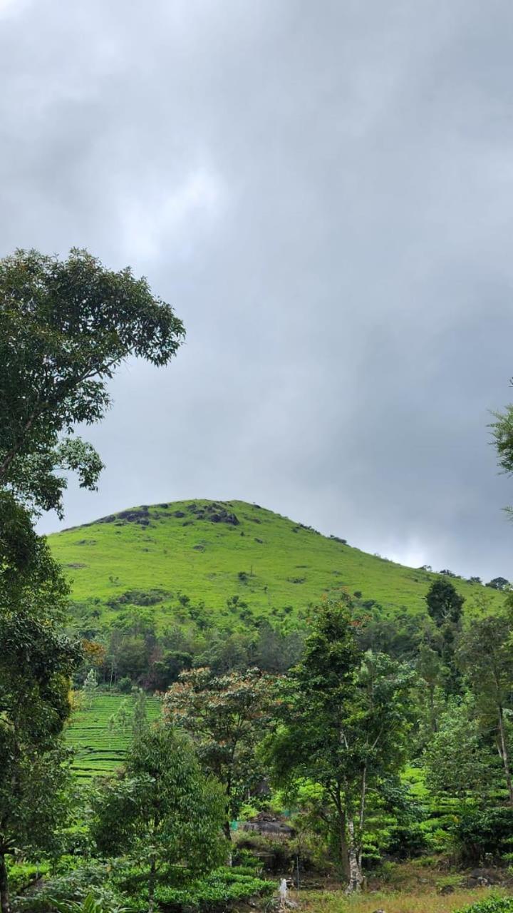 Vythiri Tea Valley I Best Hotel In Wayanad L Hotels In Vythiri Wayanad Exterior foto