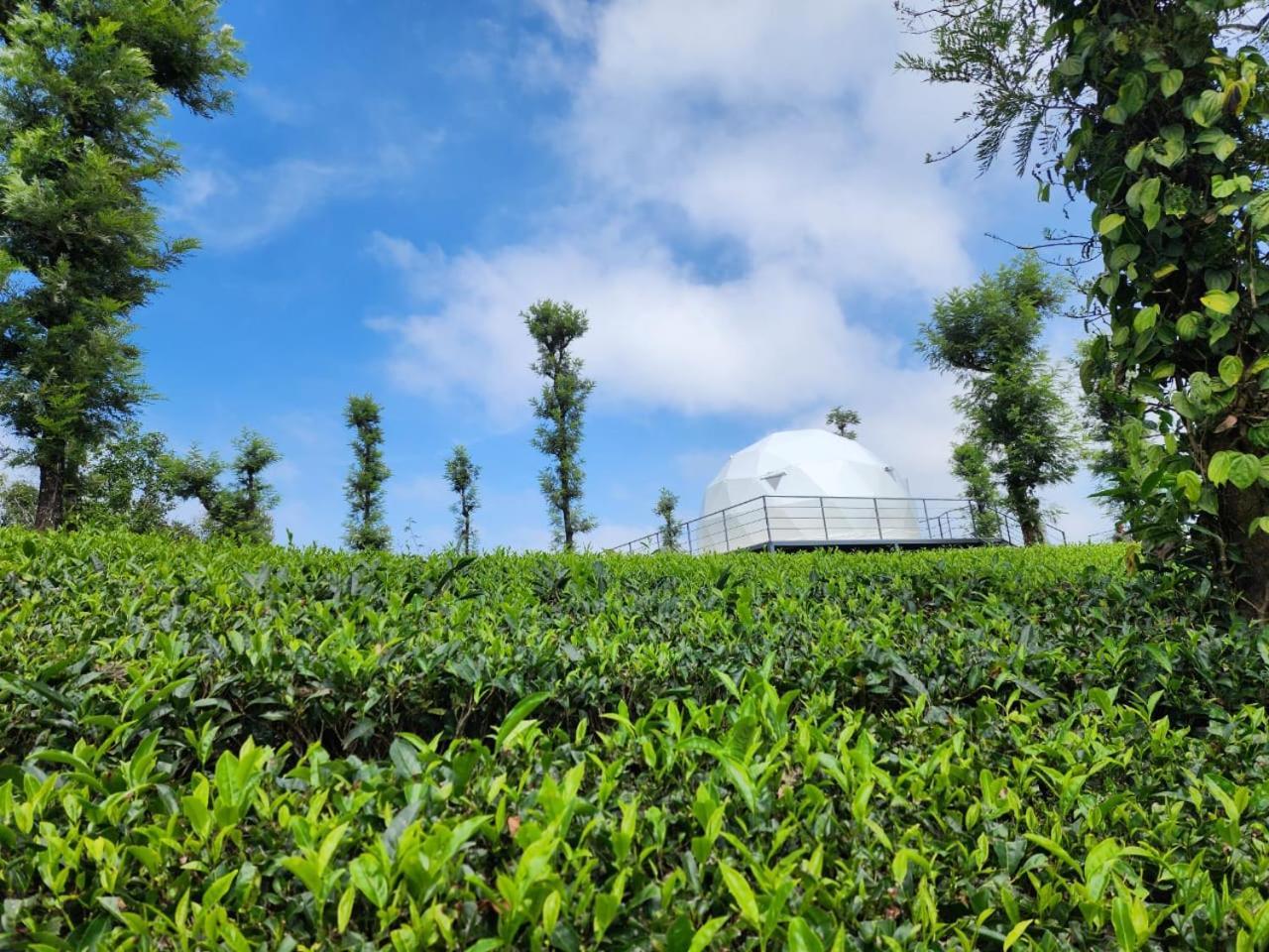 Vythiri Tea Valley I Best Hotel In Wayanad L Hotels In Vythiri Wayanad Exterior foto